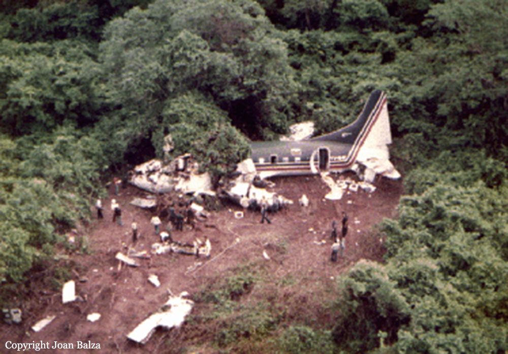 YV-84C - AVENSA