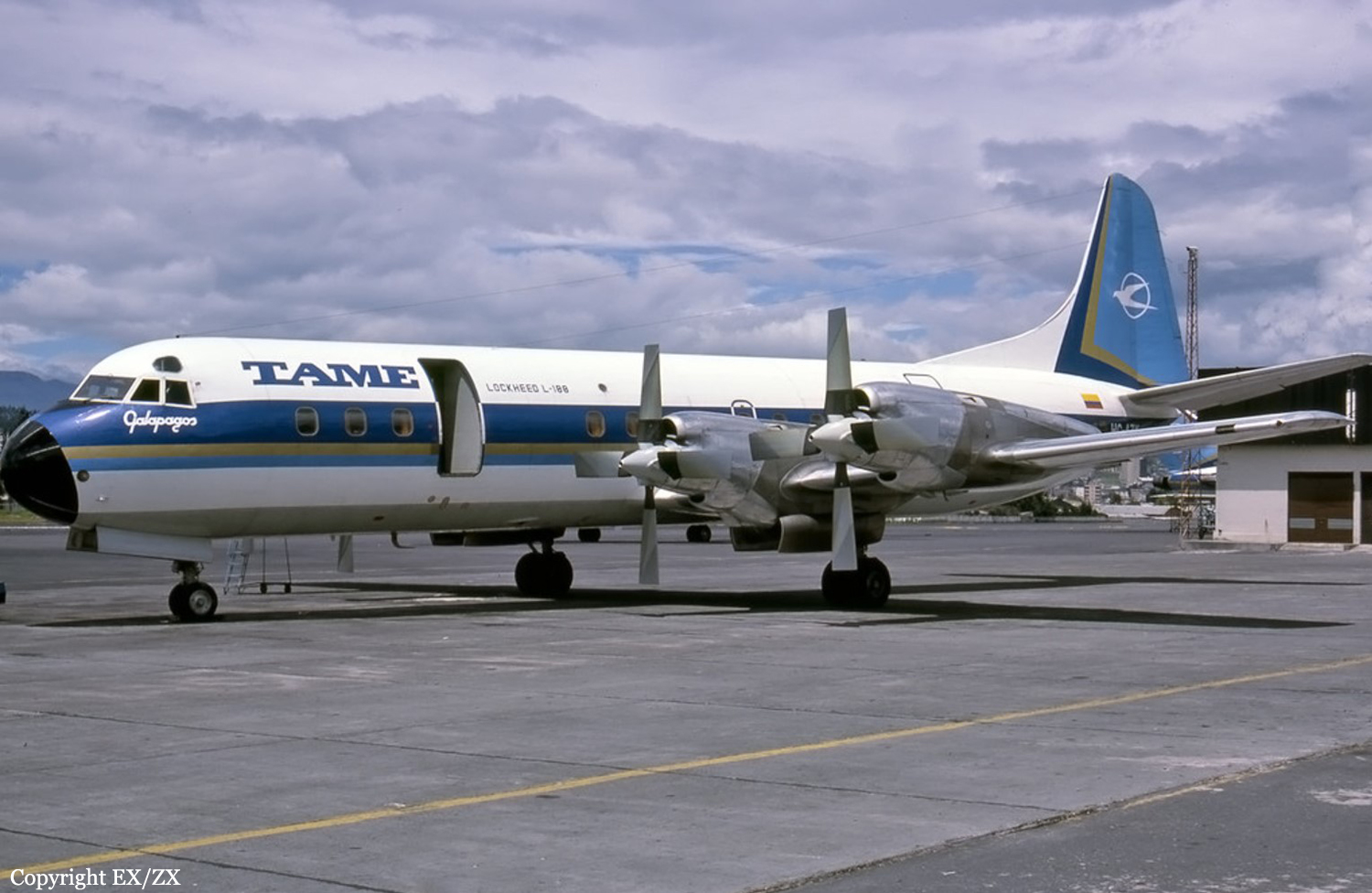 6Y-JQF - Trans-Jamaican Airlines