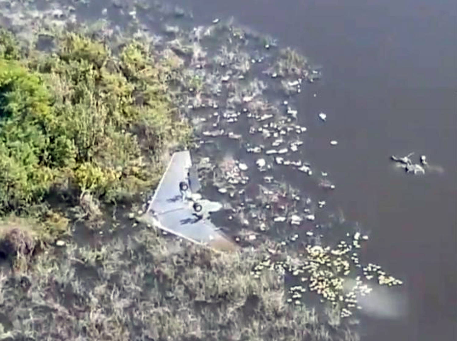 Unknown Flight - private