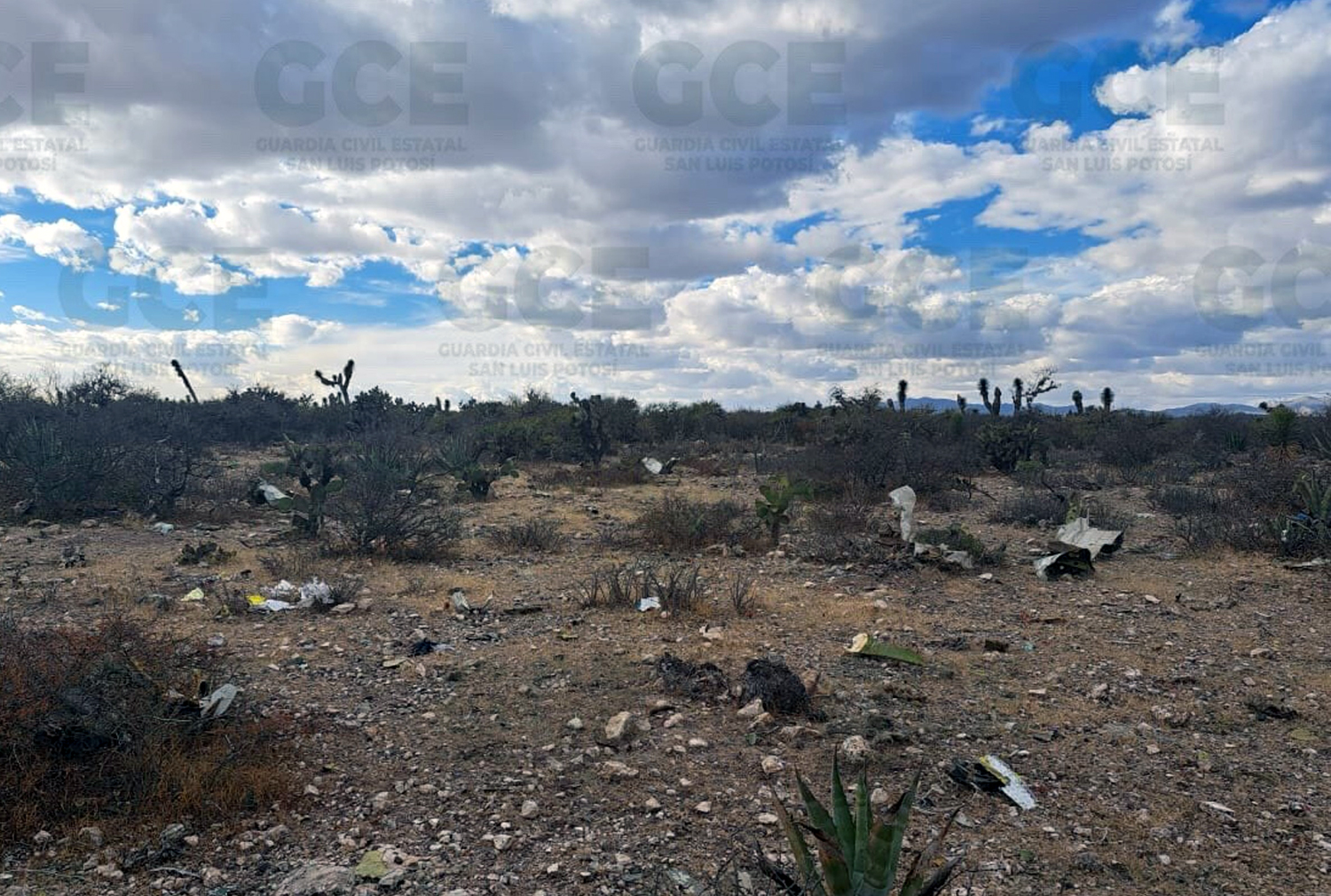 Canadair CL-600S Challenger 600 crash — near Venado, 2022-12-30