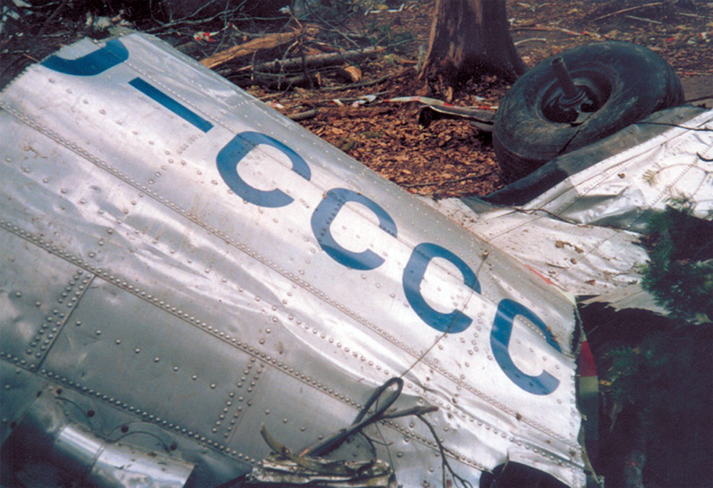 D-CCCC - Classic Wings
