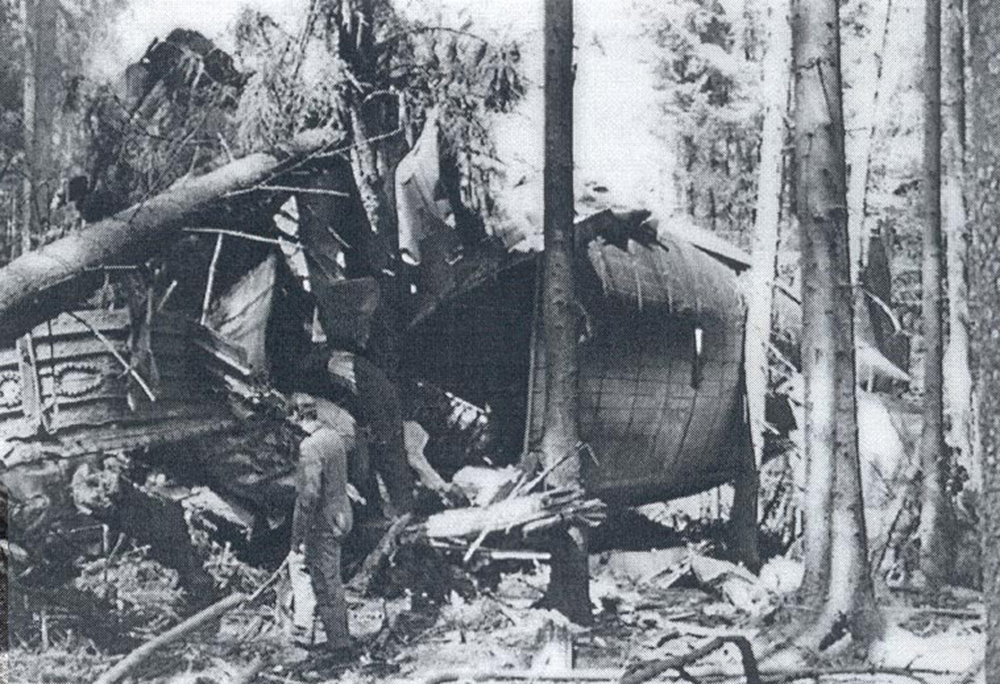 50+39 - Luftwaffe