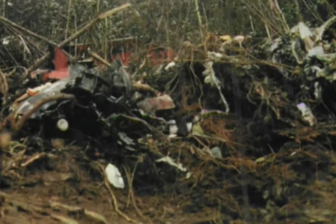 410 - Avianca